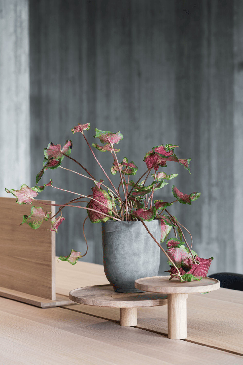 aarhus-office-2020-hi-res-7