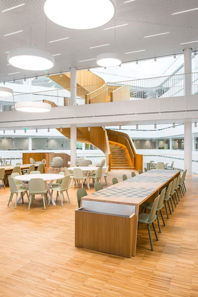 uppsala university segerstedthuset sweden 17