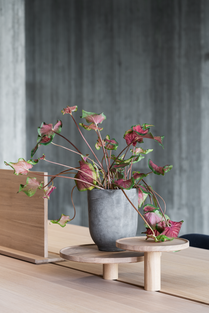 /globalassets/content-media/images/stories/desk-sharing/aarhus-office-2020-hi-res-7.png?revision=639071684960000000